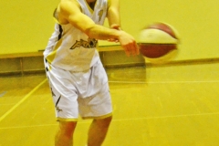 Bray4