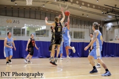 Butler & Dallwitz block